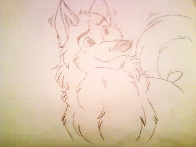 Kodi (Original sketch)