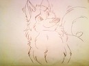 Kodi (Original sketch)