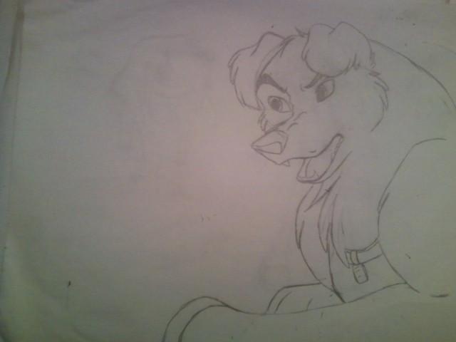 Parvo Sketch