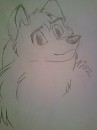 random husky sketch
