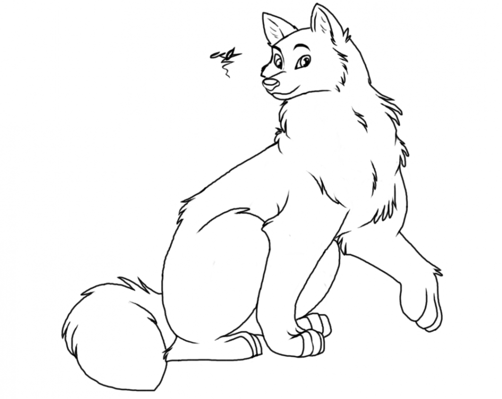 Male Husky