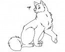 Male Husky