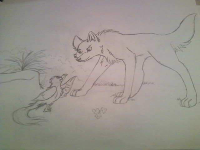 Wolf Teen & Bird
