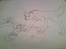 Wolf Teen & Bird