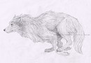 Run Away