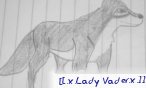 Lady Vader