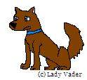 Brown Puppy