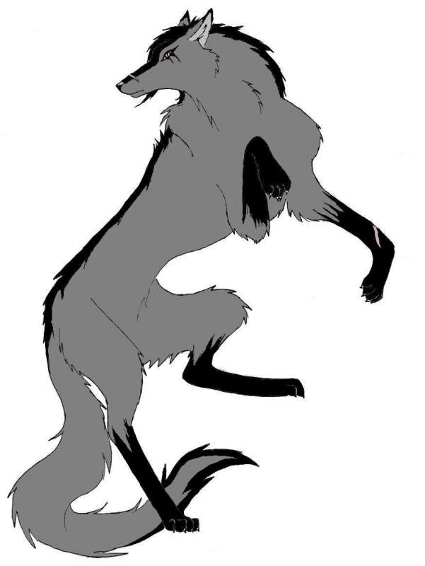 Everfade Colored