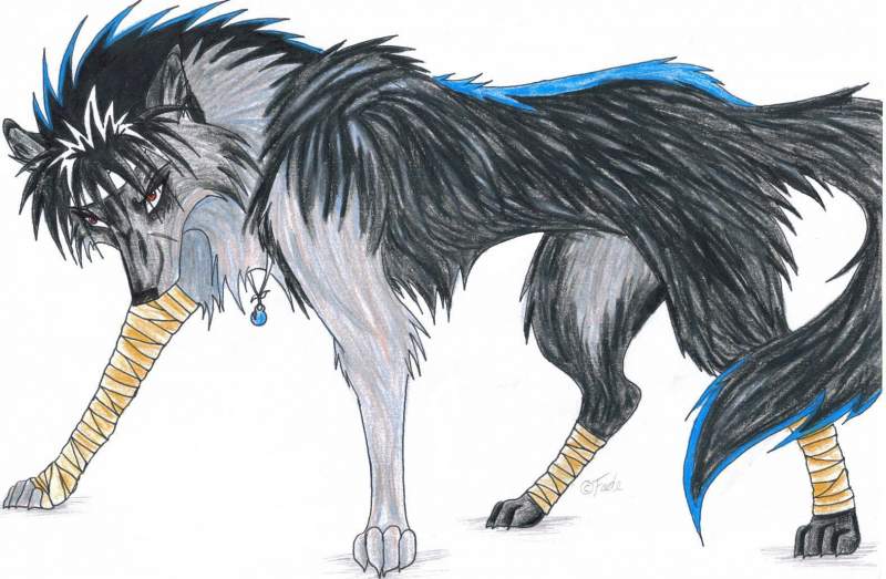 Hiei-Wolf
