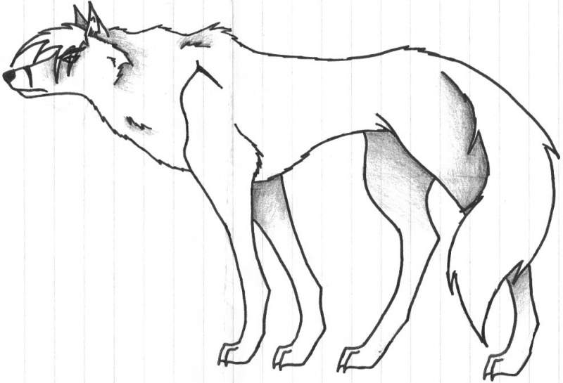 Line Balto