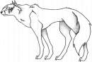 Line Balto
