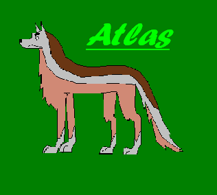 Atlas avvie