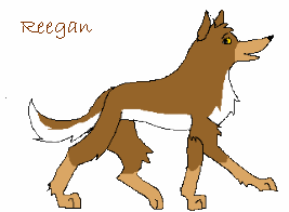 Reegan for the PA