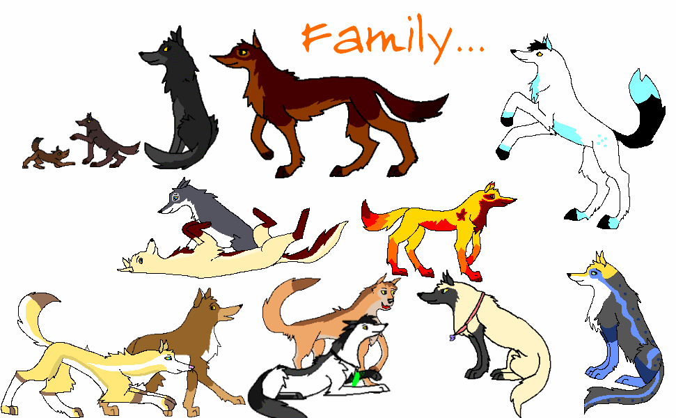 Pack Activities-Family