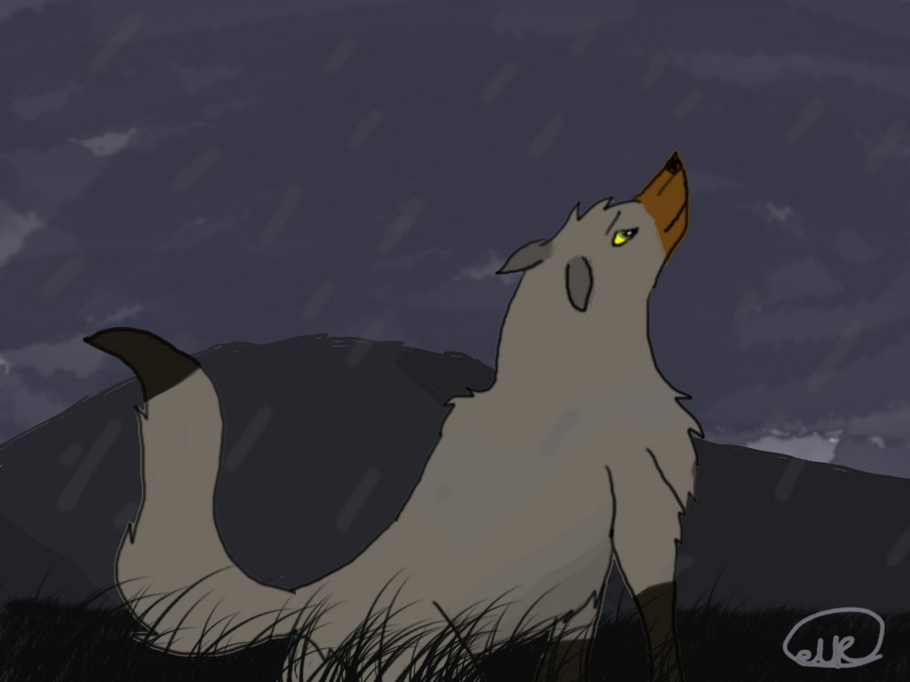 Storm Wuffle