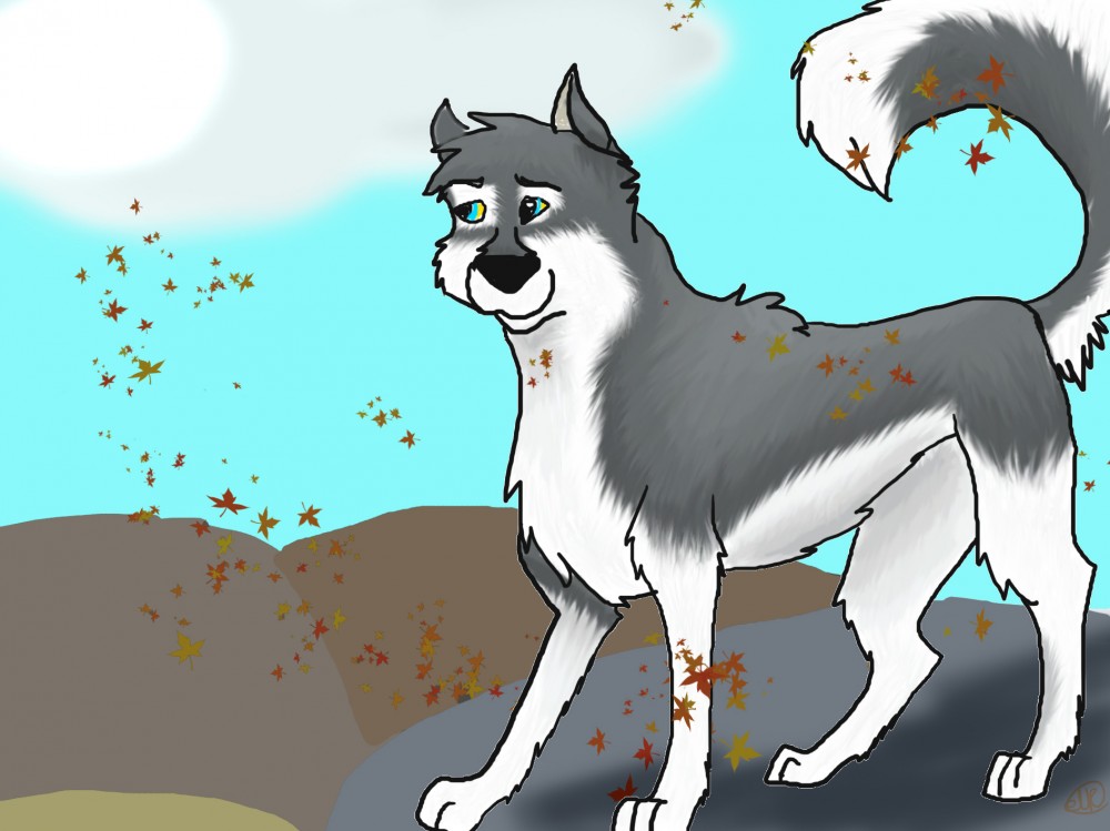 Yukon in the Autumn