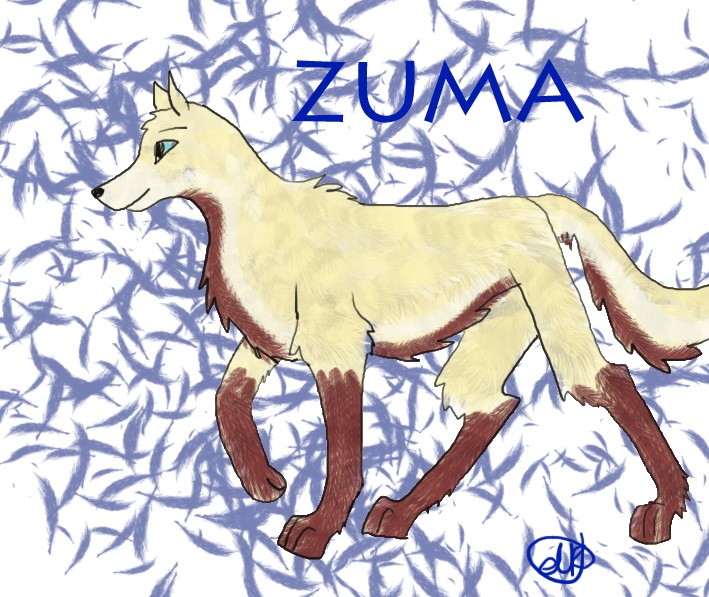 Giftie for Zuma!