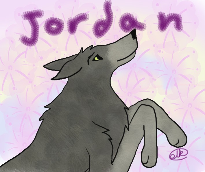 Photoshopped Jordan!