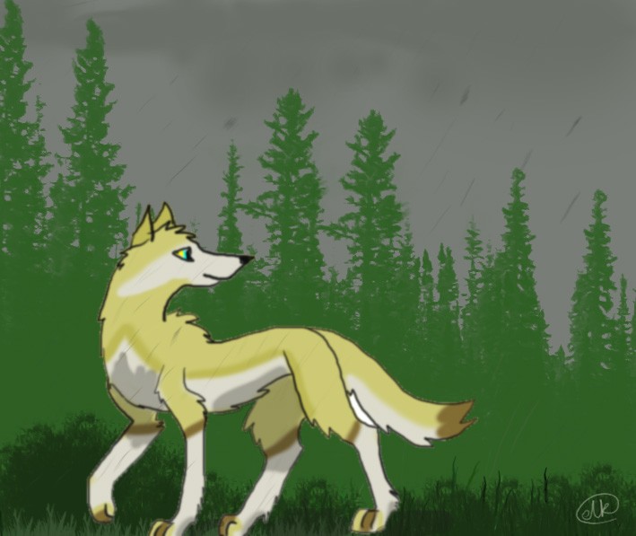 Free in the Rain