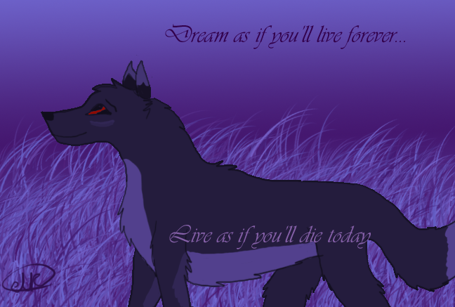 Nikki motivational... Sort of. 
