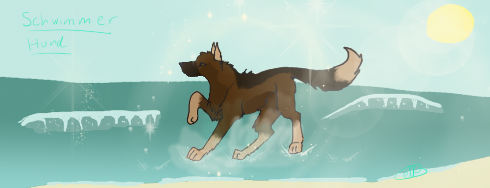 Schwimmer Hunds