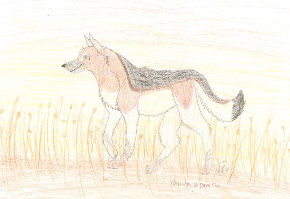 Giftie for Dani!