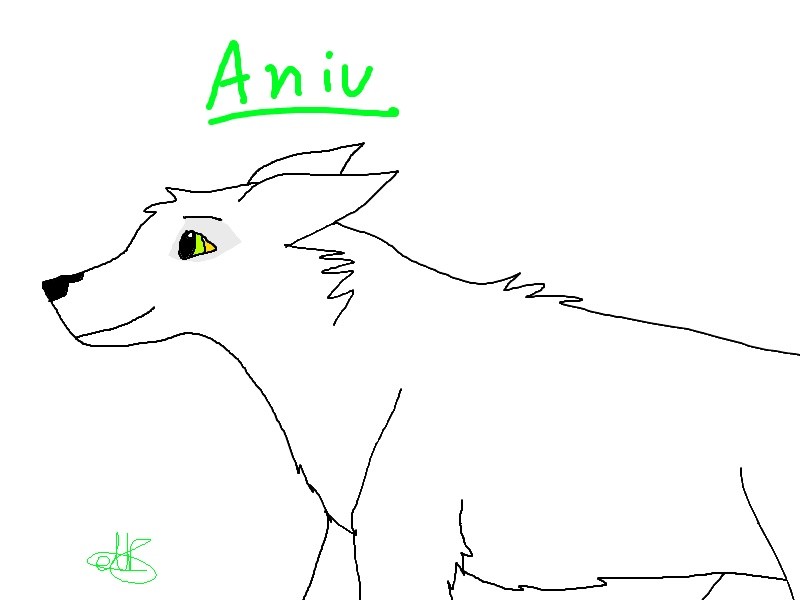Yay Aniu!