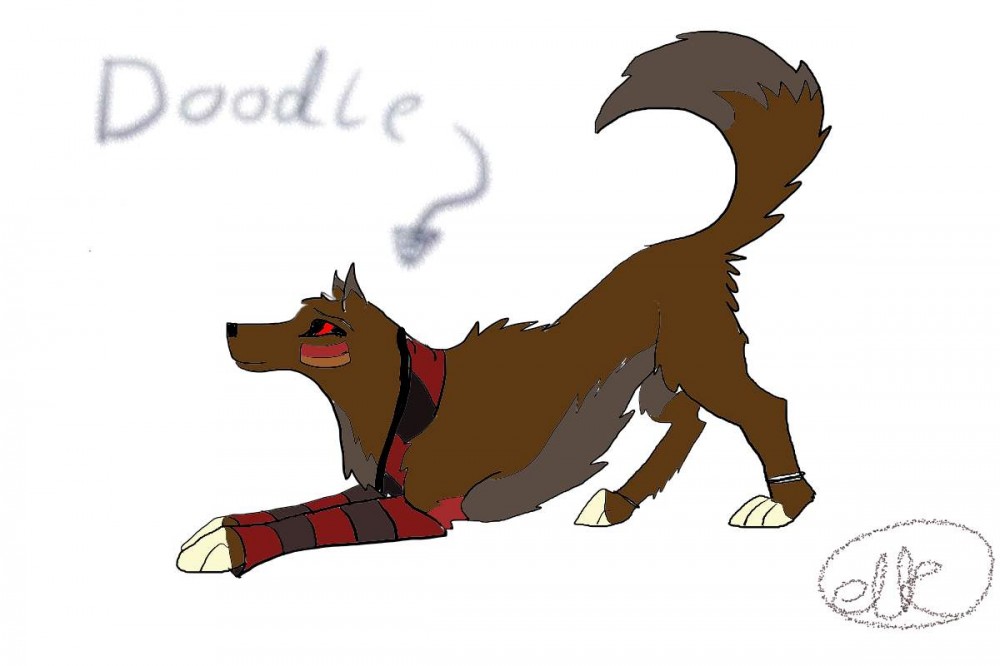 Oh wow 8D
