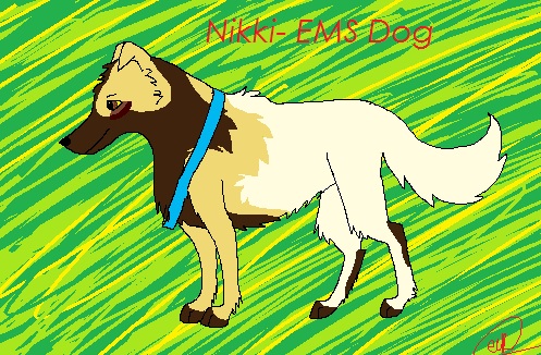 *Scream* NIKKI IS AN EMS DOG! 