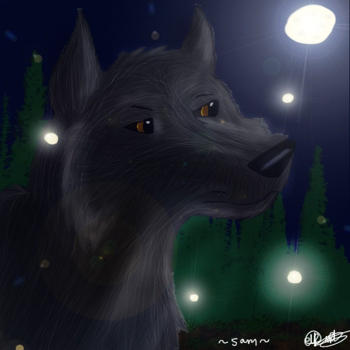 Fireflies again >>