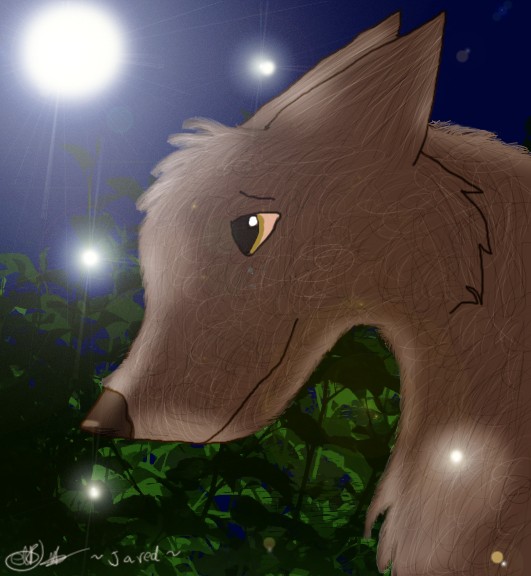 Fireflies AGAIN! Dx