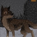 Snoowww