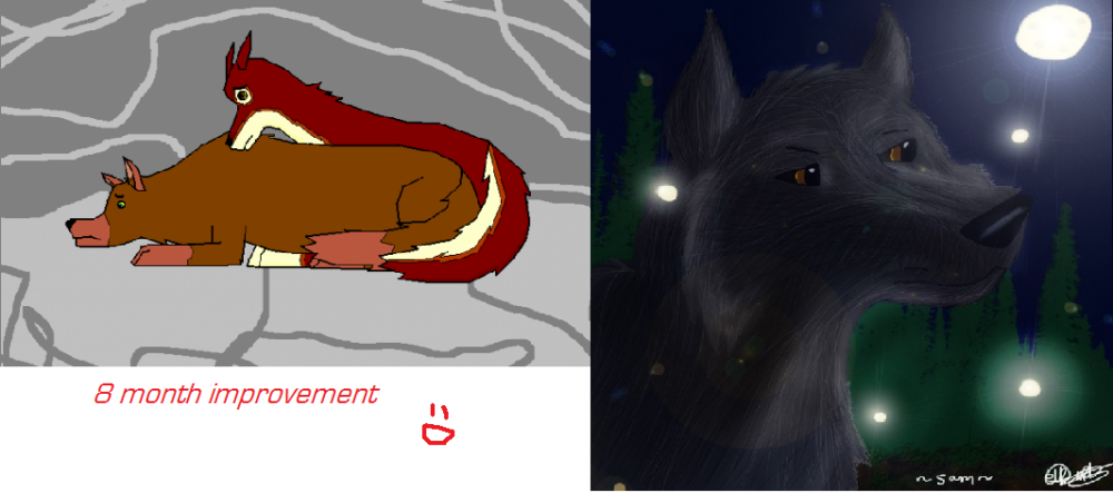 8 Month Improvement!