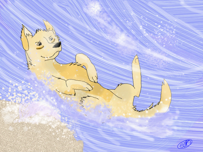 SURFIN'!
