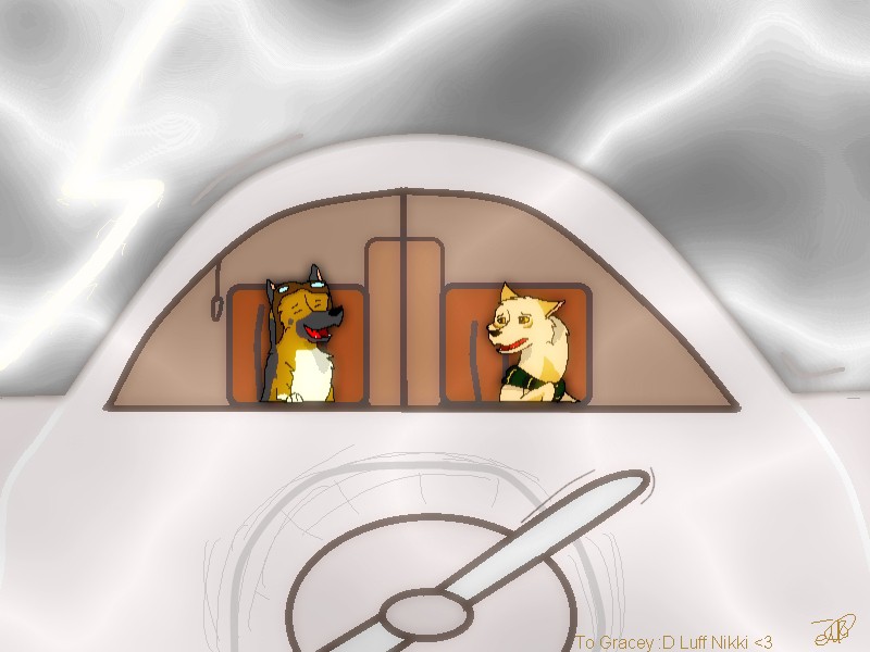Gracey's Plane- Pilotness :D
