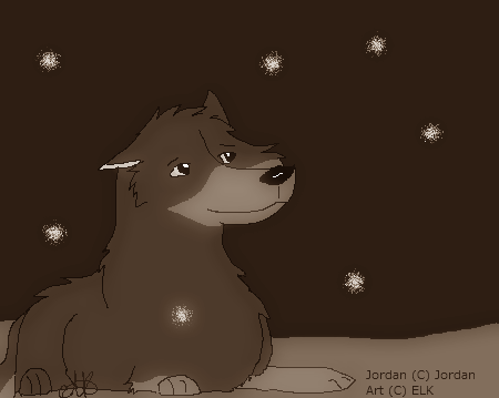 Fireflies