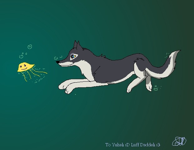 JELLYFEESH