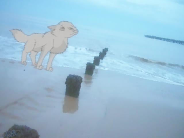 My beach