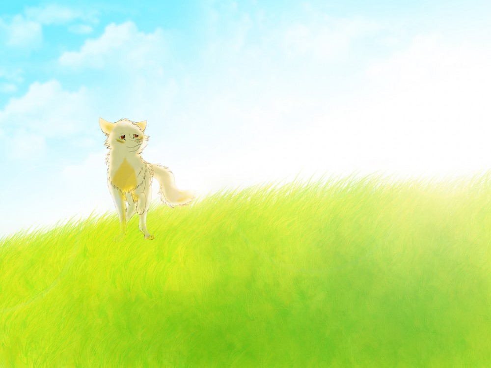 Summer Haze