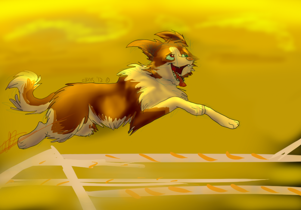 Agility