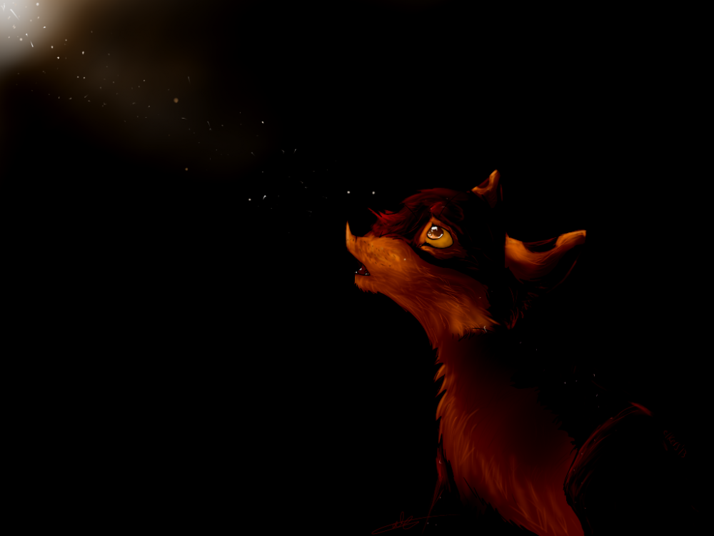 Children of the Night