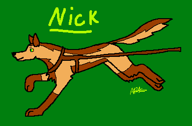 Random Nick