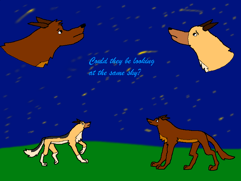 Could they be looking at the same sky?