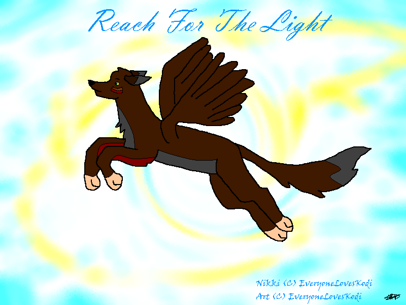 Reach for the Light