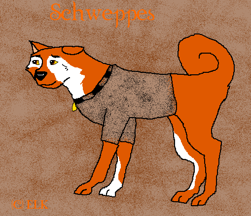 Schweppe's Sweater