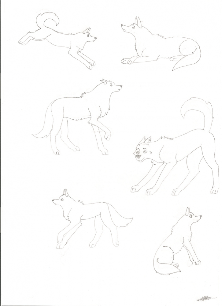Doodles