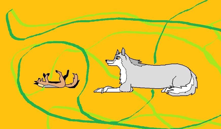 Igloo and Leon