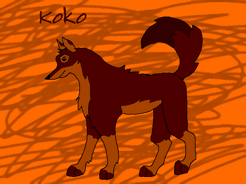 Koko in a strange style