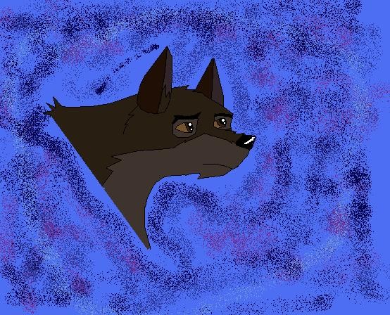 Balto is Sad