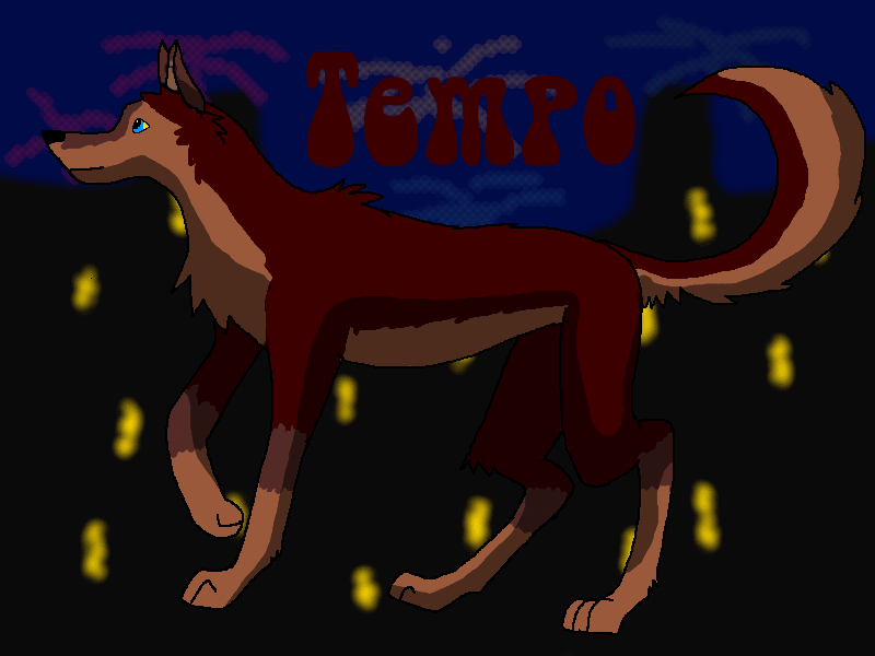 Tempo's New Design